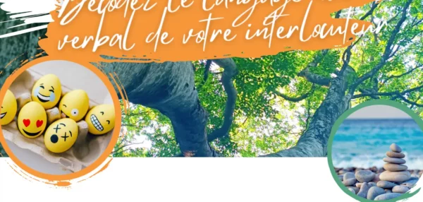 Décodez le langage non verbal de votre interlocuteur 25 26 Septembre 2024.