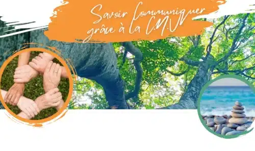 Savoir Communiquer grace a la CNV 23 Octobre 2024